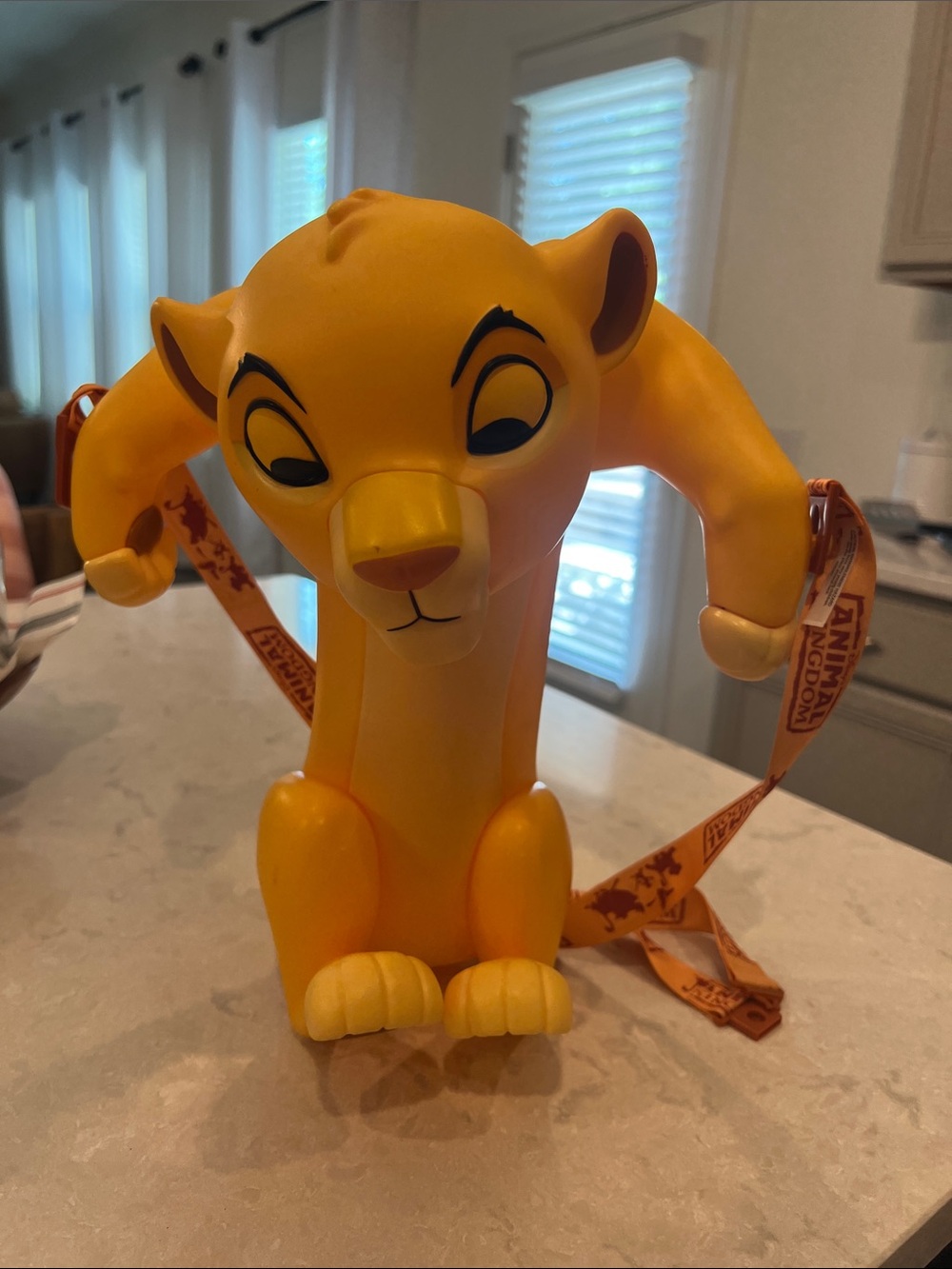 Walt Disney World Lion King Simba Popcorn bucket
